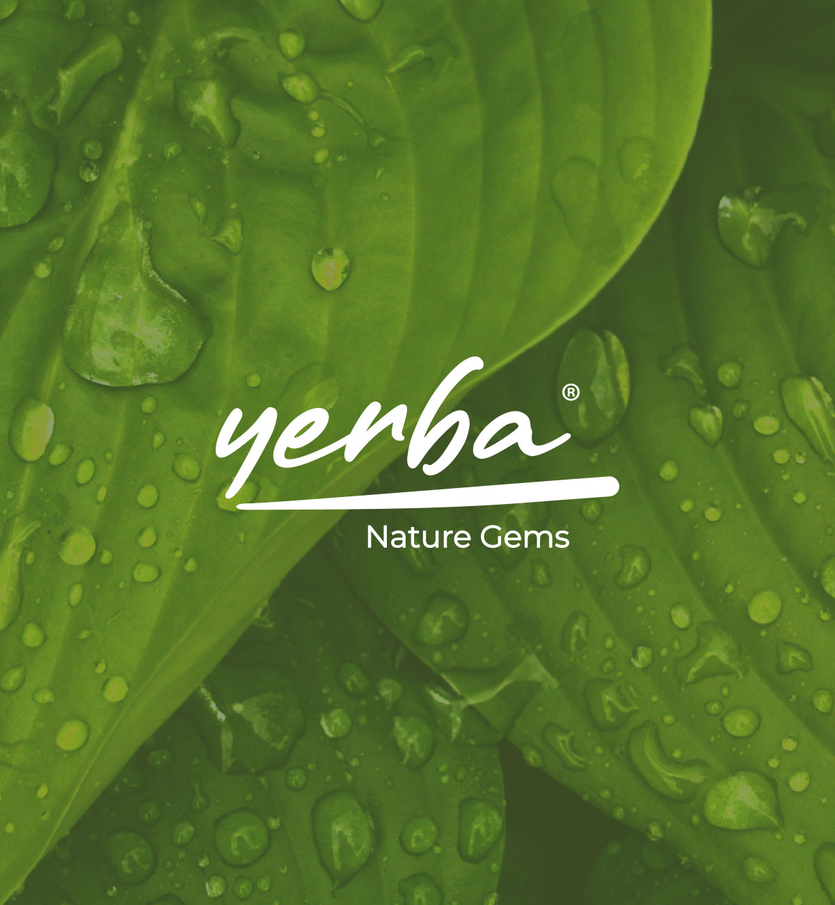 Brand Identity Design                                                                                                                                                                                   