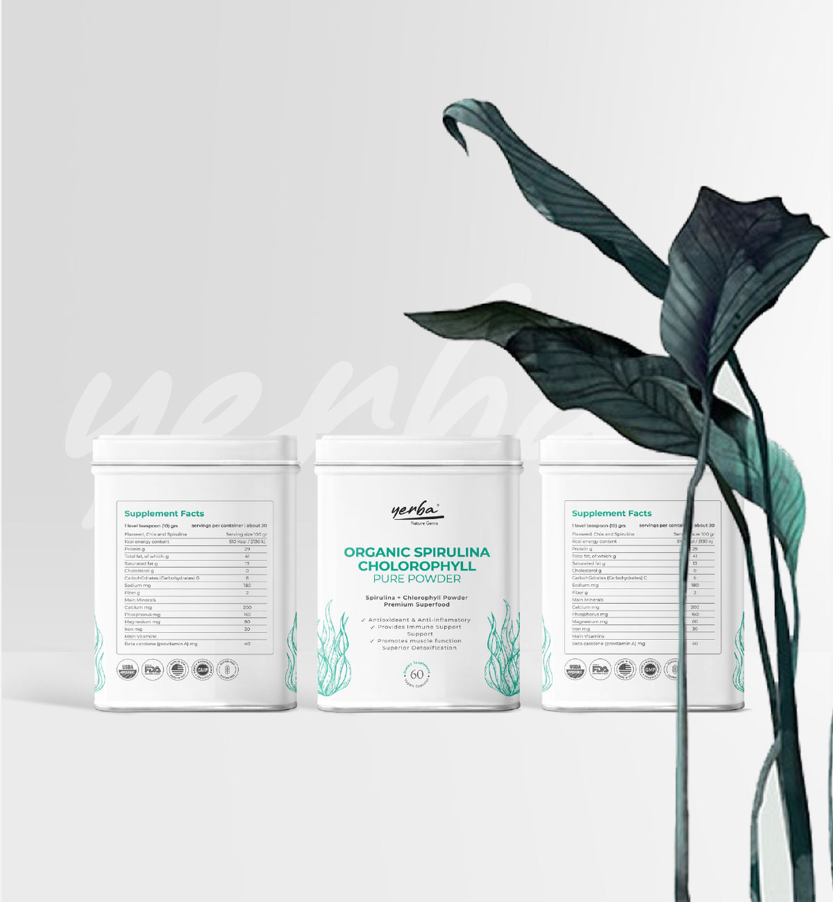 Packaging Design Direction                                                                                                                                                                              