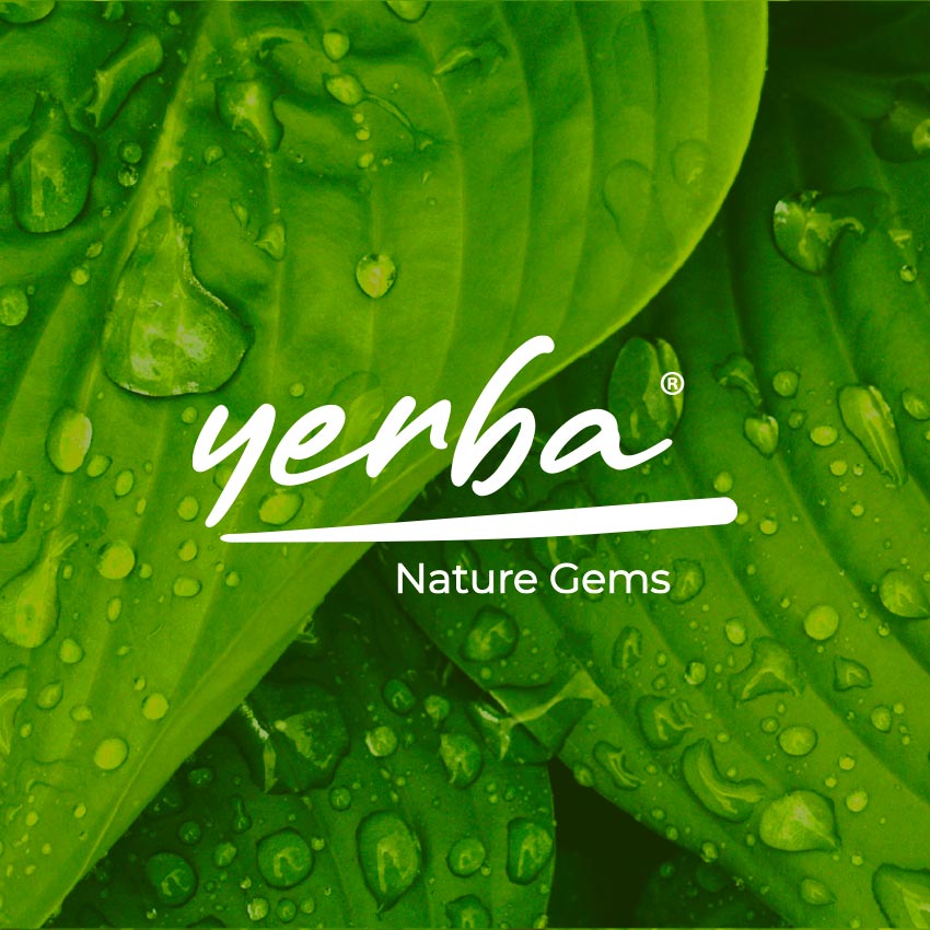 For Yerba, Aimstyle has created a lively and trendy new brand image. 