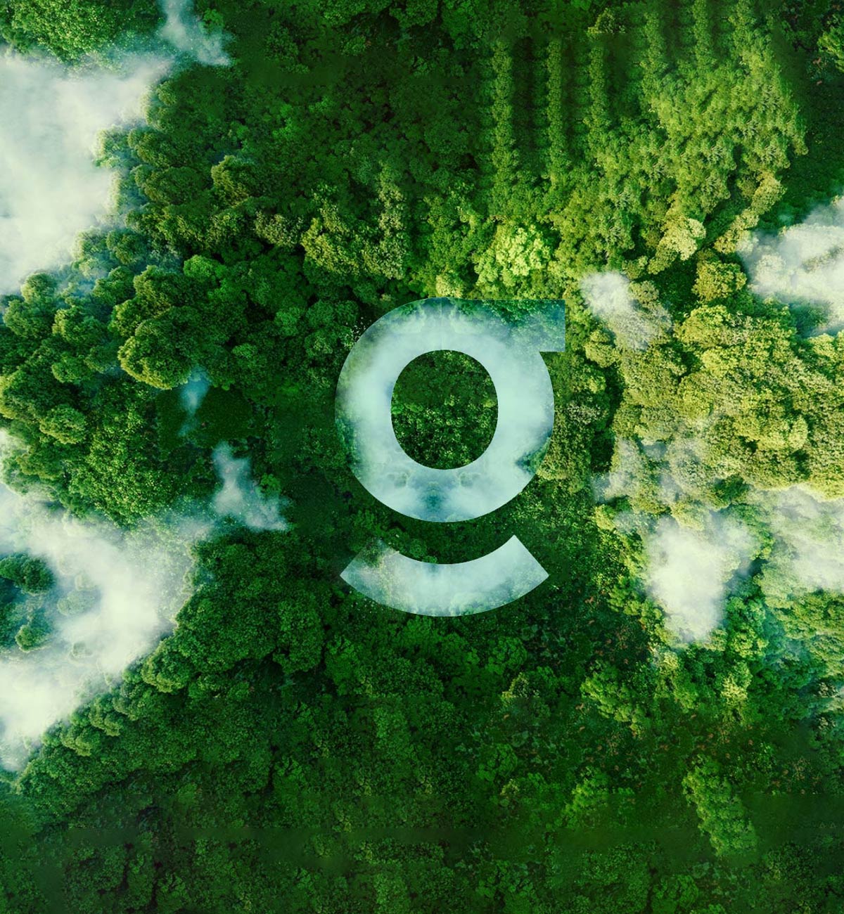 Green Way Environmental Consultants